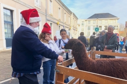 Chalonnes-sur-Loire : Un marché de Noël au beau fixe